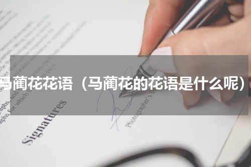 马蔺花花语（马蔺花的花语是什么呢）
