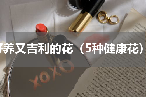 好养又吉利的花（5种健康花）
