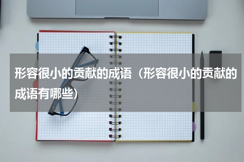 形容很小的贡献的成语（形容很小的贡献的成语有哪些）