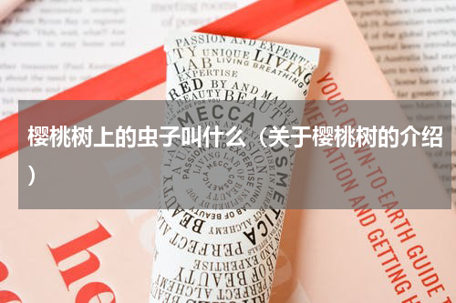 樱桃树上的虫子叫什么（关于樱桃树的介绍）
