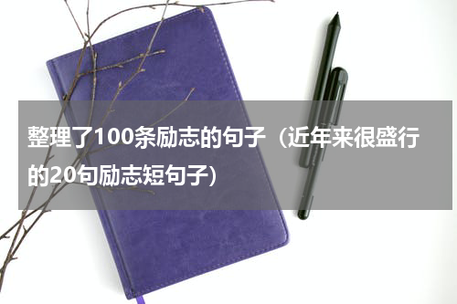 整理了100条励志的句子（近年来很盛行的20句励志短句子）