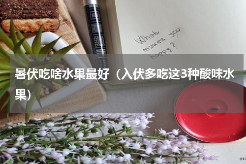 暑伏吃啥水果最好（入伏多吃这3种酸味水果）