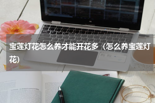 宝莲灯花怎么养才能开花多（怎么养宝莲灯花）