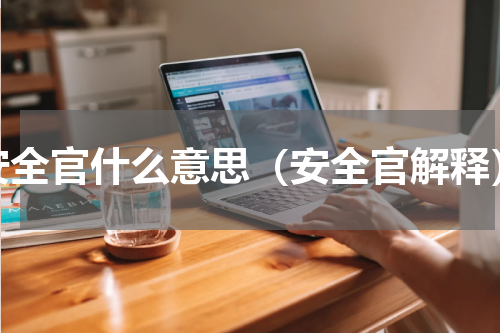 安全官什么意思（安全官解释）