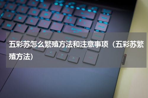 五彩苏怎么繁殖方法和注意事项（五彩苏繁殖方法）