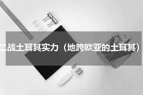 二战土耳其实力（地跨欧亚的土耳其）