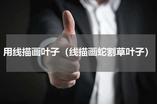 用线描画叶子（线描画蛇割草叶子）