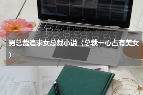 男总裁追求女总裁小说（总裁一心占有美女）