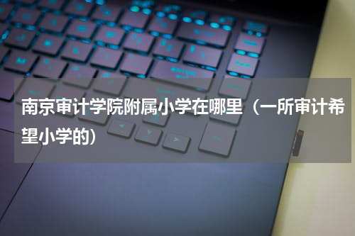 南京审计学院附属小学在哪里（一所审计希望小学的）