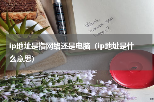 ip地址是指网络还是电脑（ip地址是什么意思）