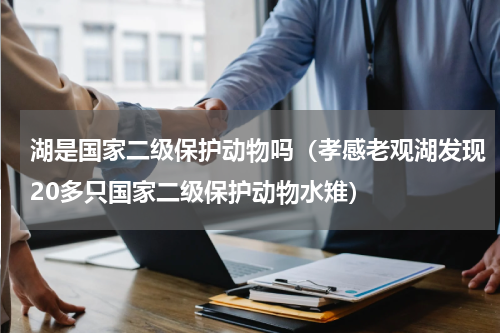 湖是国家二级保护动物吗（孝感老观湖发现20多只国家二级保护动物水雉）