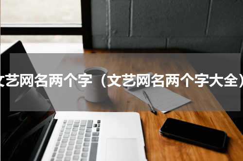 文艺网名两个字（文艺网名两个字大全）