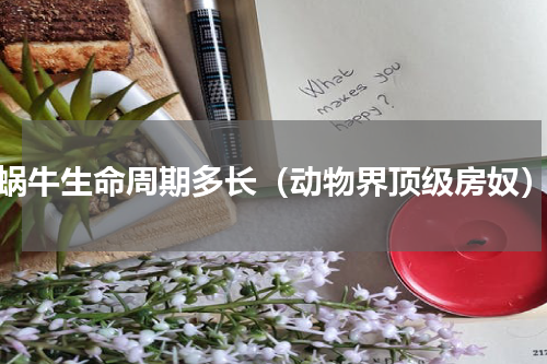 蜗牛生命周期多长（动物界顶级房奴）
