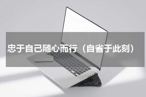 忠于自己随心而行（自省于此刻）
