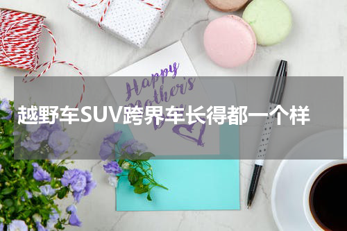 越野车SUV跨界车长得都一个样