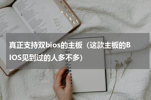 真正支持双bios的主板（这款主板的BIOS见到过的人多不多）