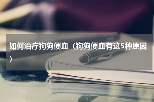 如何治疗狗狗便血（狗狗便血有这5种原因）