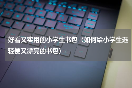 好看又实用的小学生书包（如何给小学生选轻便又漂亮的书包）