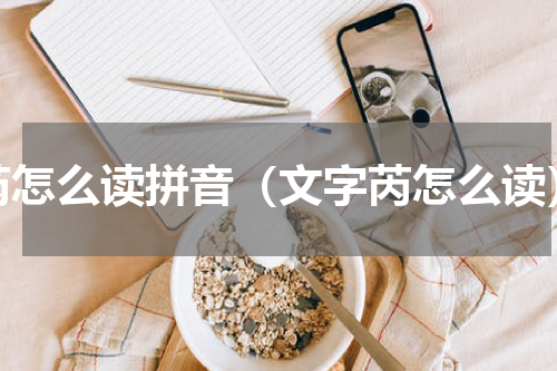 芮怎么读拼音（文字芮怎么读）