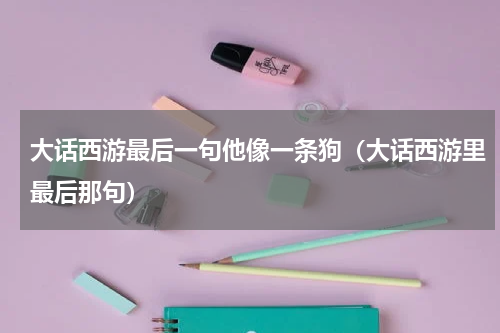 大话西游最后一句他像一条狗（大话西游里最后那句）
