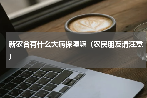 新农合有什么大病保障嘛（农民朋友请注意）