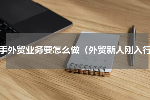 新手外贸业务要怎么做（外贸新人刚入行）