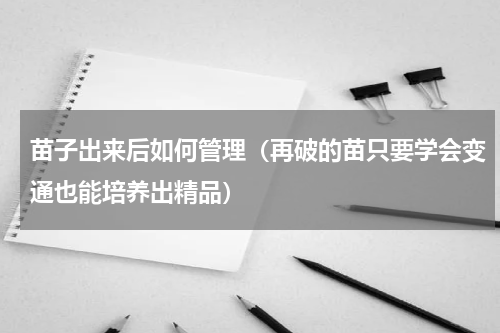 苗子出来后如何管理（再破的苗只要学会变通也能培养出精品）