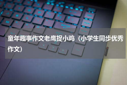 童年趣事作文老鹰捉小鸡（小学生同步优秀作文）