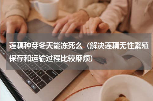 莲藕种芽冬天能冻死么（解决莲藕无性繁殖保存和运输过程比较麻烦）