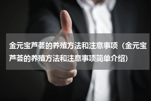 金元宝芦荟的养殖方法和注意事项（金元宝芦荟的养殖方法和注意事项简单介绍）