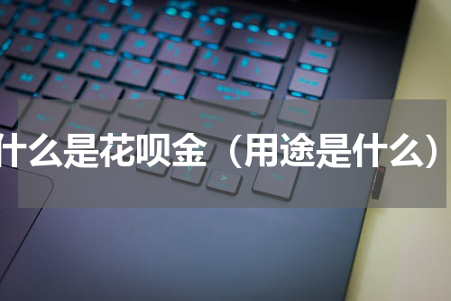 什么是花呗金（用途是什么）
