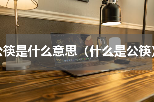 公筷是什么意思（什么是公筷）