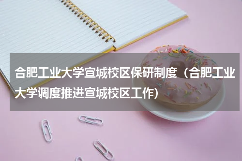 合肥工业大学宣城校区保研制度（合肥工业大学调度推进宣城校区工作）