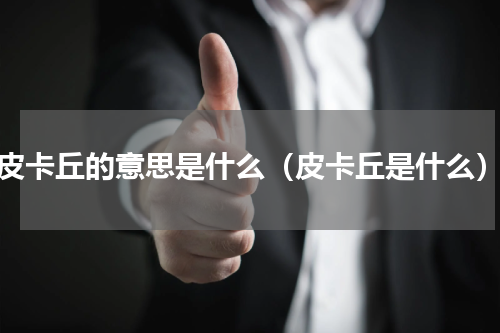 皮卡丘的意思是什么（皮卡丘是什么）