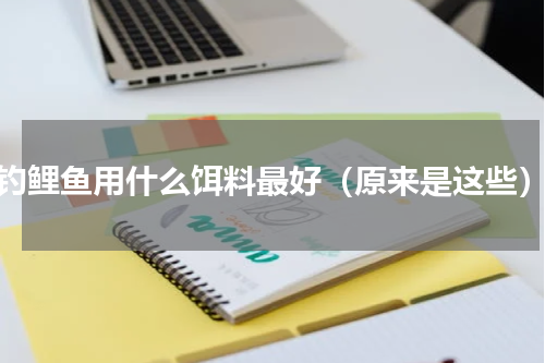 钓鲤鱼用什么饵料最好（原来是这些）