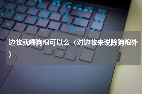 边牧就喂狗粮可以么（对边牧来说除狗粮外）