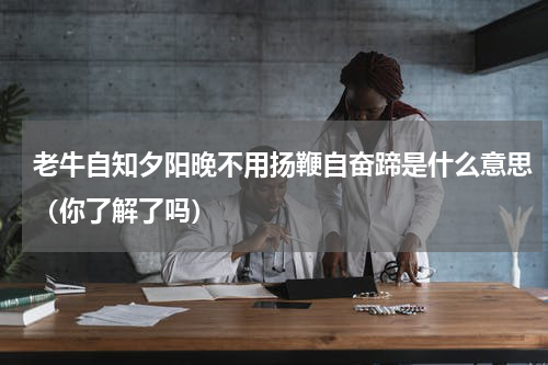 老牛自知夕阳晚不用扬鞭自奋蹄是什么意思（你了解了吗）