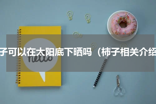 柿子可以在太阳底下晒吗（柿子相关介绍）
