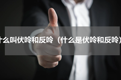 什么叫伏呤和反呤（什么是伏呤和反呤）