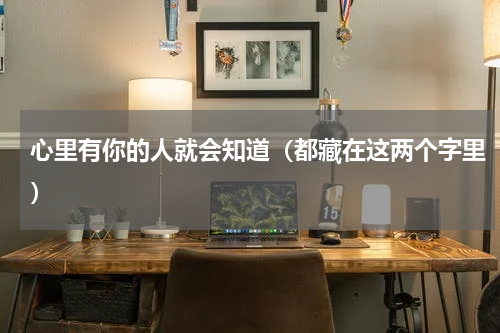 心里有你的人就会知道（都藏在这两个字里）