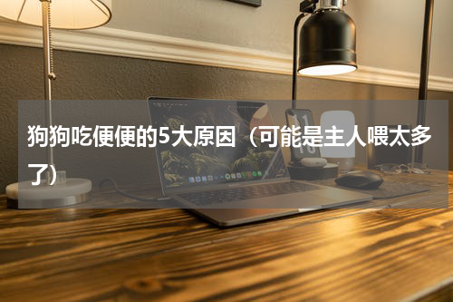 狗狗吃便便的5大原因（可能是主人喂太多了）