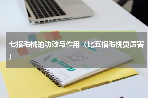 七指毛桃的功效与作用（比五指毛桃更厉害）