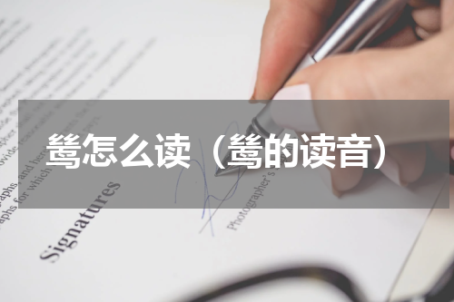 鸶怎么读（鸶的读音）