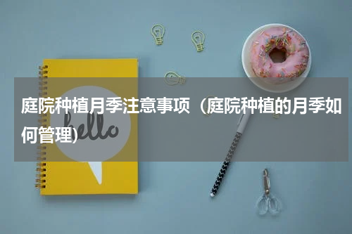庭院种植月季注意事项（庭院种植的月季如何管理）