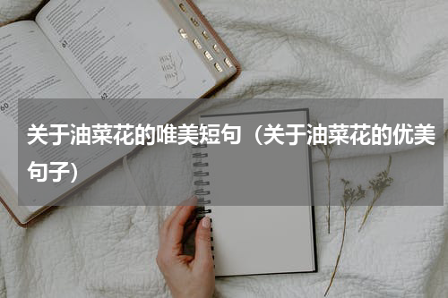 关于油菜花的唯美短句（关于油菜花的优美句子）
