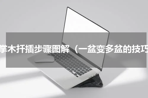 鸭掌木扦插步骤图解（一盆变多盆的技巧）