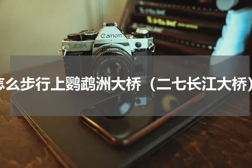 怎么步行上鹦鹉洲大桥（二七长江大桥）