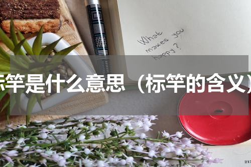 标竿是什么意思（标竿的含义）
