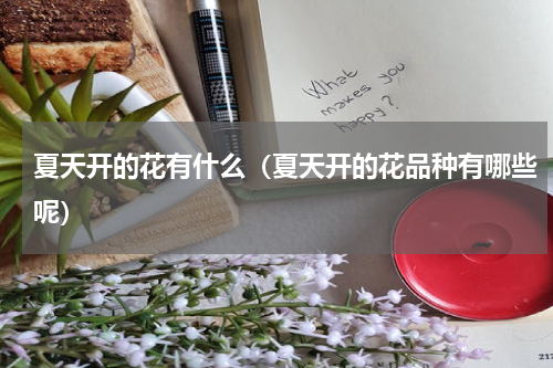 夏天开的花有什么（夏天开的花品种有哪些呢）