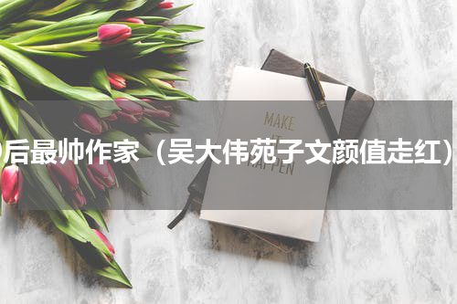 90后最帅作家（吴大伟苑子文颜值走红）